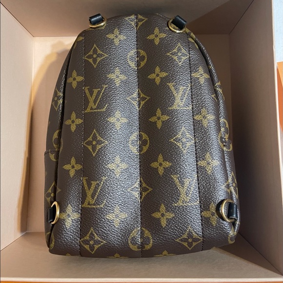 Louis Vuitton Palm Springs mini - Picture 2 of 6